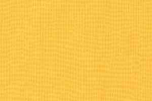 Линолеум Taralay Initial Comfort 0596 Mimosa фото  | FLOORDEALER